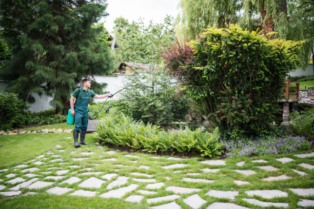 Best Wasp Removal Services  in Marriott Slaterville, UT
