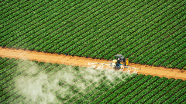 Best Commercial Pest Control Services  in Marriott Slaterville, UT
