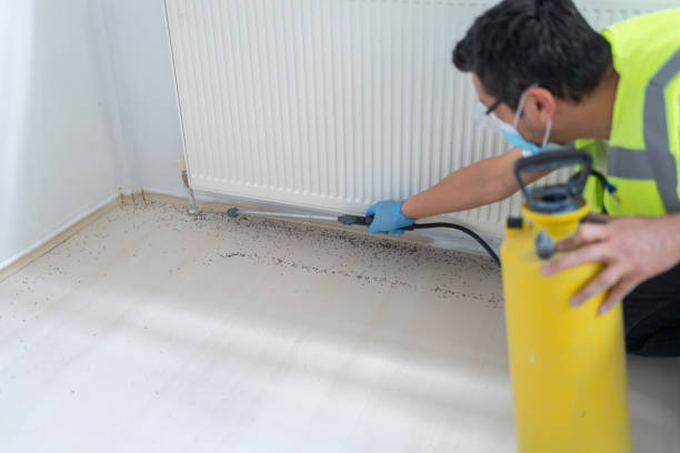Best Cockroach Control Services  in Marriott Slaterville, UT
